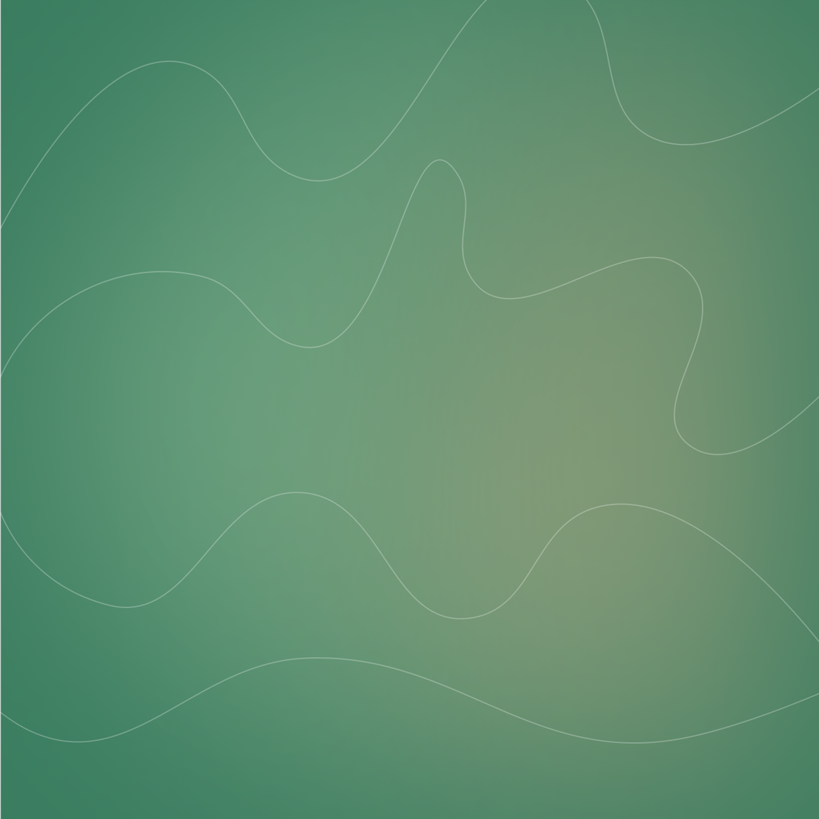 Login Visual